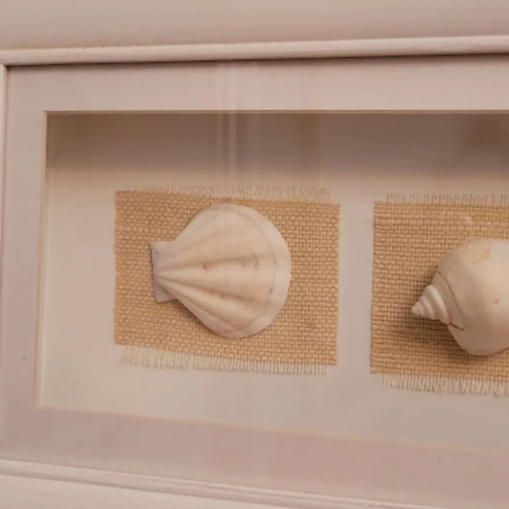 Sea Shell Shadow Boxes - Picture 3 of 11